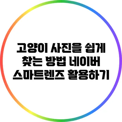 고양이 사진을 쉽게 찾는 방법: 네이버 스마트렌즈 활용하기