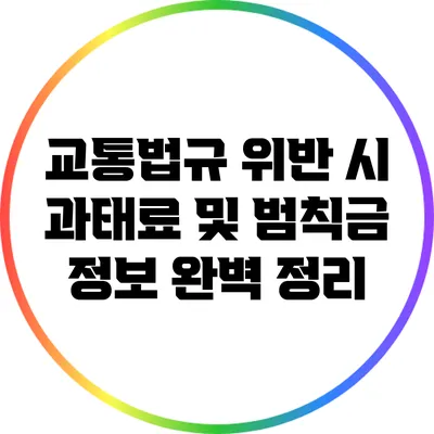 교통법규 위반 시 과태료 및 범칙금 정보 완벽 정리
