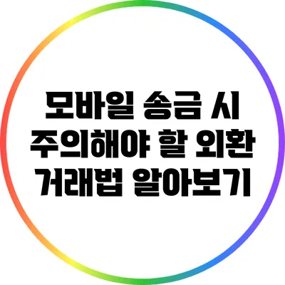 모바일 송금 시 주의해야 할 외환 거래법 알아보기