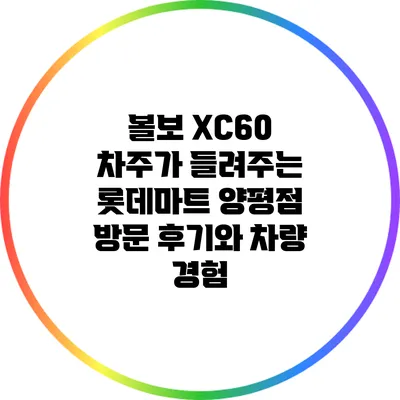 볼보 XC60 차주가 들려주는 롯데마트 양평점 방문 후기와 차량 경험