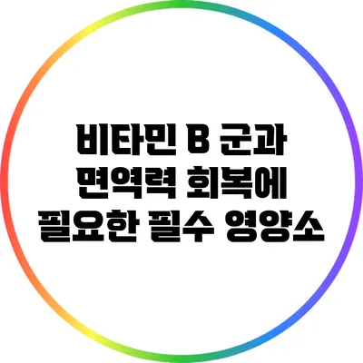 비타민 B 군과 면역력 회복에 필요한 필수 영양소