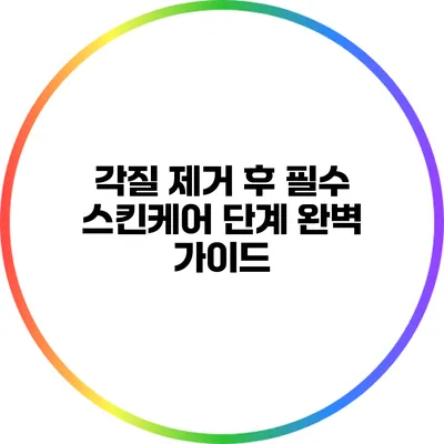 각질 제거 후 필수 스킨케어 단계 완벽 가이드