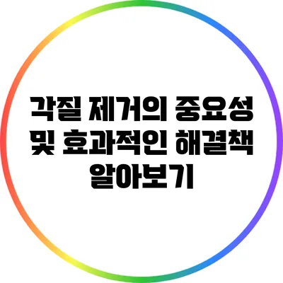 각질 제거의 중요성 및 효과적인 해결책 알아보기