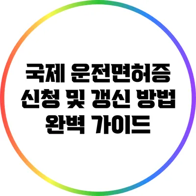 국제 운전면허증 신청 및 갱신 방법 완벽 가이드