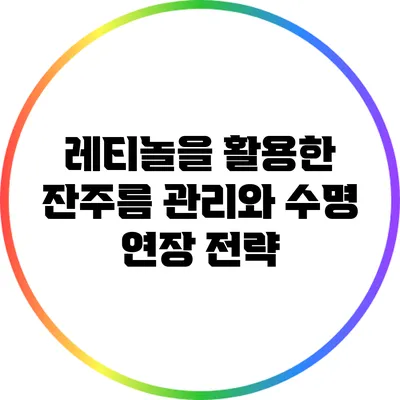 레티놀을 활용한 잔주름 관리와 수명 연장 전략