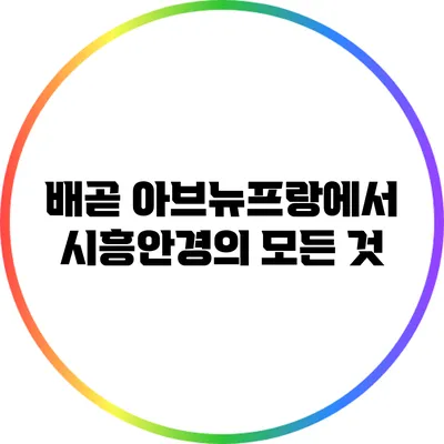 배곧 아브뉴프랑에서 시흥안경의 모든 것
