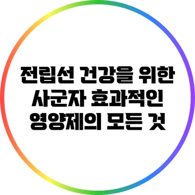 전립선 건강을 위한 사군자: 효과적인 영양제의 모든 것