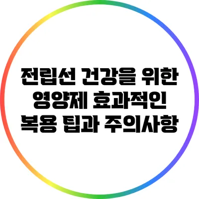 전립선 건강을 위한 영양제: 효과적인 복용 팁과 주의사항