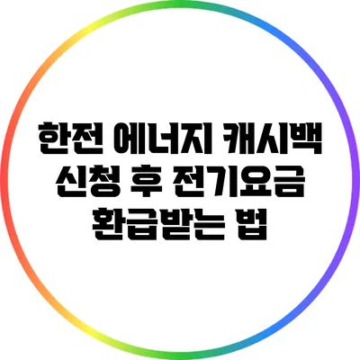 한전 에너지 캐시백 신청 후 전기요금 환급받는 법