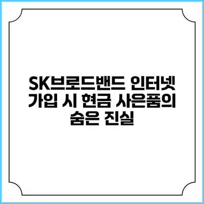 SK브로드밴드 인터넷 가입 시 현금 사은품의 숨은 진실