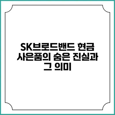 SK브로드밴드 현금 사은품의 숨은 진실과 그 의미