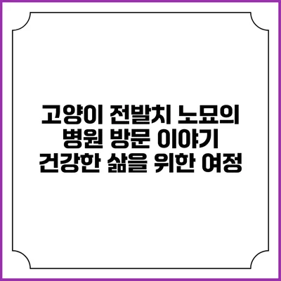 고양이 전발치 노묘의 병원 방문 이야기: 건강한 삶을 위한 여정