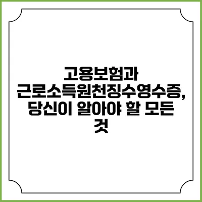 고용보험과 근로소득원천징수영수증, 당신이 알아야 할 모든 것