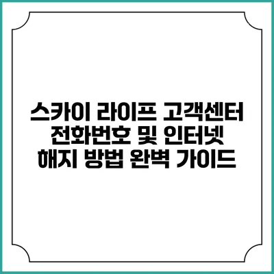 스카이 라이프 고객센터 전화번호 및 인터넷 해지 방법 완벽 가이드