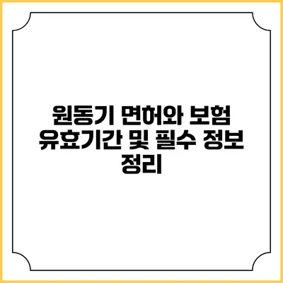 원동기 면허와 보험: 유효기간 및 필수 정보 정리