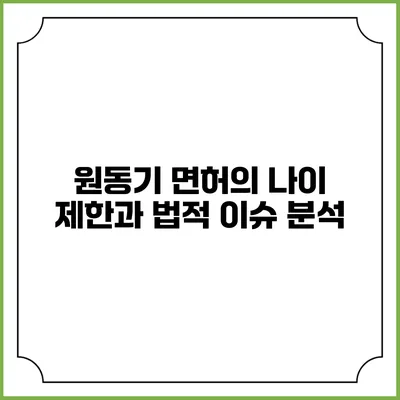 원동기 면허의 나이 제한과 법적 이슈 분석