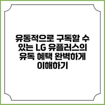 유동적으로 구독할 수 있는 LG 유플러스의 유독 혜택 완벽하게 이해하기