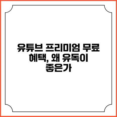 유튜브 프리미엄 무료 혜택, 왜 유독이 좋은가?