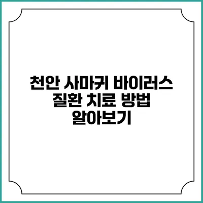 천안 사마귀 바이러스 질환 치료 방법 알아보기