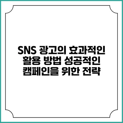 SNS 광고의 효과적인 활용 방법: 성공적인 캠페인을 위한 전략