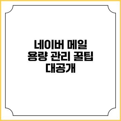 네이버 메일 용량 관리 꿀팁 대공개