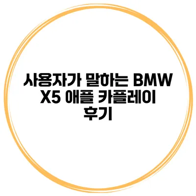 사용자가 말하는 BMW X5 애플 카플레이 후기