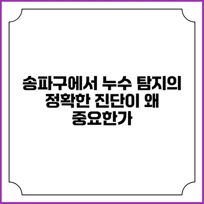 송파구에서 누수 탐지의 정확한 진단이 왜 중요한가?