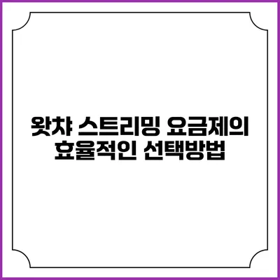 왓챠 스트리밍 요금제의 효율적인 선택방법