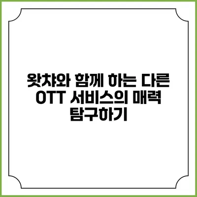 왓챠와 함께 하는 다른 OTT 서비스의 매력 탐구하기