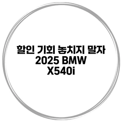 할인 기회 놓치지 말자 2025 BMW X540i
