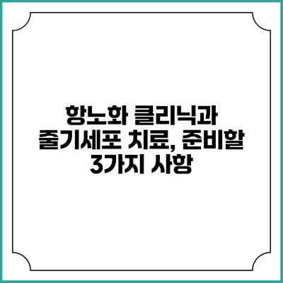 항노화 클리닉과 줄기세포 치료, 준비할 3가지 사항
